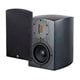 Monolith Air Motion Cinema 5 Bookshelf Speaker (Each)