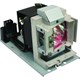 InFocus Projector Lamp For IN3134a, IN3136a - Projector Lamp - 4000 Hour ECO