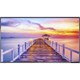 NEC Display E425 42" LED Backlit Display with Integrated Tuner - 42" LCD - 1920 x 1080 - Direct LED - 300 Nit - 1080p - HDMI - USB - Serial - Black