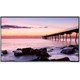 NEC Display E505 50" LED Backlit Display with Integrated Tuner - 50" LCD - 1920 x 1080 - Direct LED - 300 Nit - 1080p - HDMI - USB - Serial