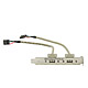 2 Port USB 2.0 External Slot (Motherboard Connector to External A-Female)