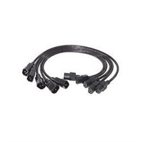 APC Power Extension Cable - 230V AC2ft