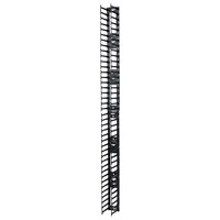 APC Vertical Cable Manager for NetShelter SX 750mm Wide 42U (Qty 2) - Cable Pass-through - Black - 2 Pack - 42U Rack Height