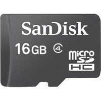 SanDisk 16 GB microSDHC - Class 4 - 1 Card
