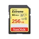 SanDisk 256GB Extreme UHS-I SDXC Memory Card - SDSDXVF-256G-ANCIN