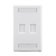 Wall Plate for Keystone with Label Window, 2 Hole, White
