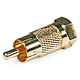 RCA Male to F Male Adapter - Gold Plated