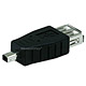 USB 2.0 A Female to Mini 4 pin (B4) Male Adapter