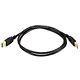 Monoprice USB-A to USB-A 2.0 Cable - 28/24AWG, Gold Plated, Black, 3ft