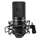 Large Diaphragm Condenser Microphone