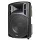 Stage Right 500-watt, 15-inch Passive PA Speaker
