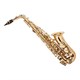 Accento Eb Alto Saxophone Gold Lacquer Finish, Pad Saver, Neck Strap, and Hard Case