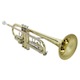 Bb Trumpet