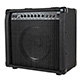 40-Watt, 1x10 Guitar Combo Amplifier with Spring Reverb