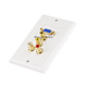 VGA HD15 / 3 RCA Composite / 3.5mm Wall Plate (VGA + Composite + 3.5mm) - Coupler Type