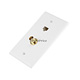 Cat5e / BNC Wall Plate (Cat5e + BNC) - Coupler Type