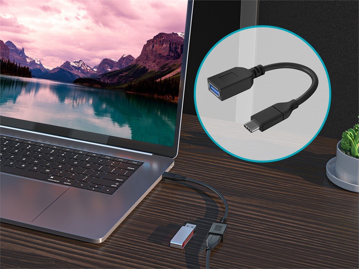 Monoprice Essentials USB-C to USB-A Female Gen Extension