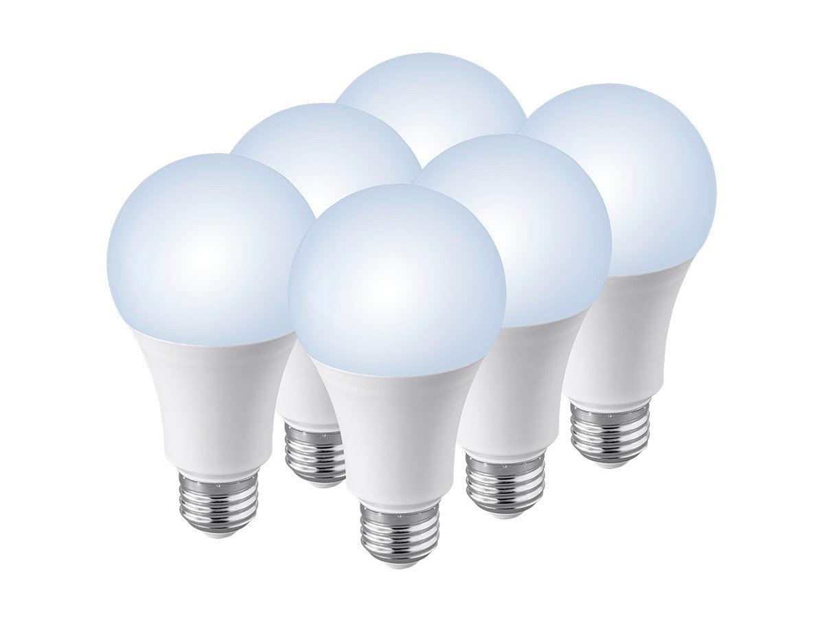 6 Pack Premium A21 Led Bulb 100 Watt Equivalent 1600lm 6 Pack Premium A21 Led Bulb 100 Watt Equivalent 1600lm Dimmable 5000k