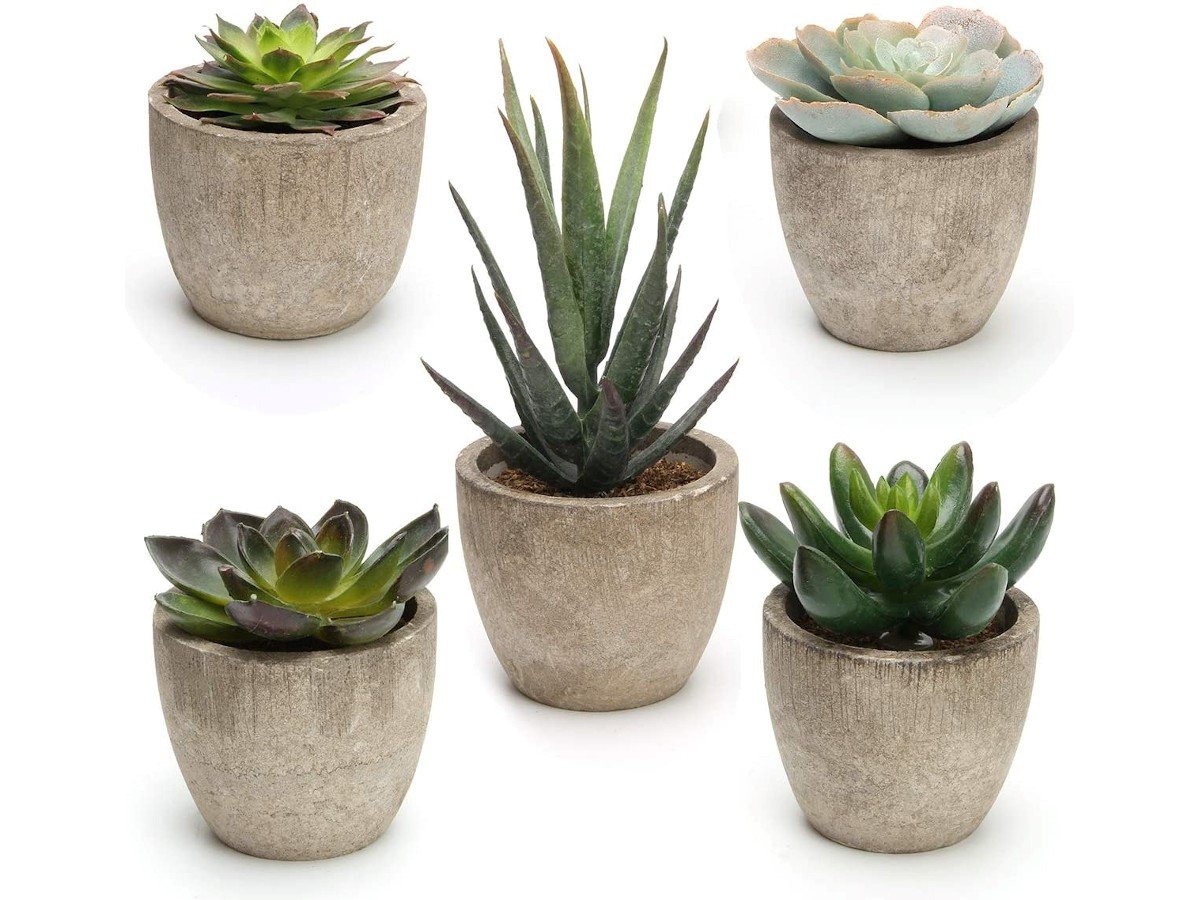 Artificial Succulent Plants Potted, Assorted Decorative Faux Succulent Potted Fake Cactus Cacti Plants with Pots, Set of 5 - main image