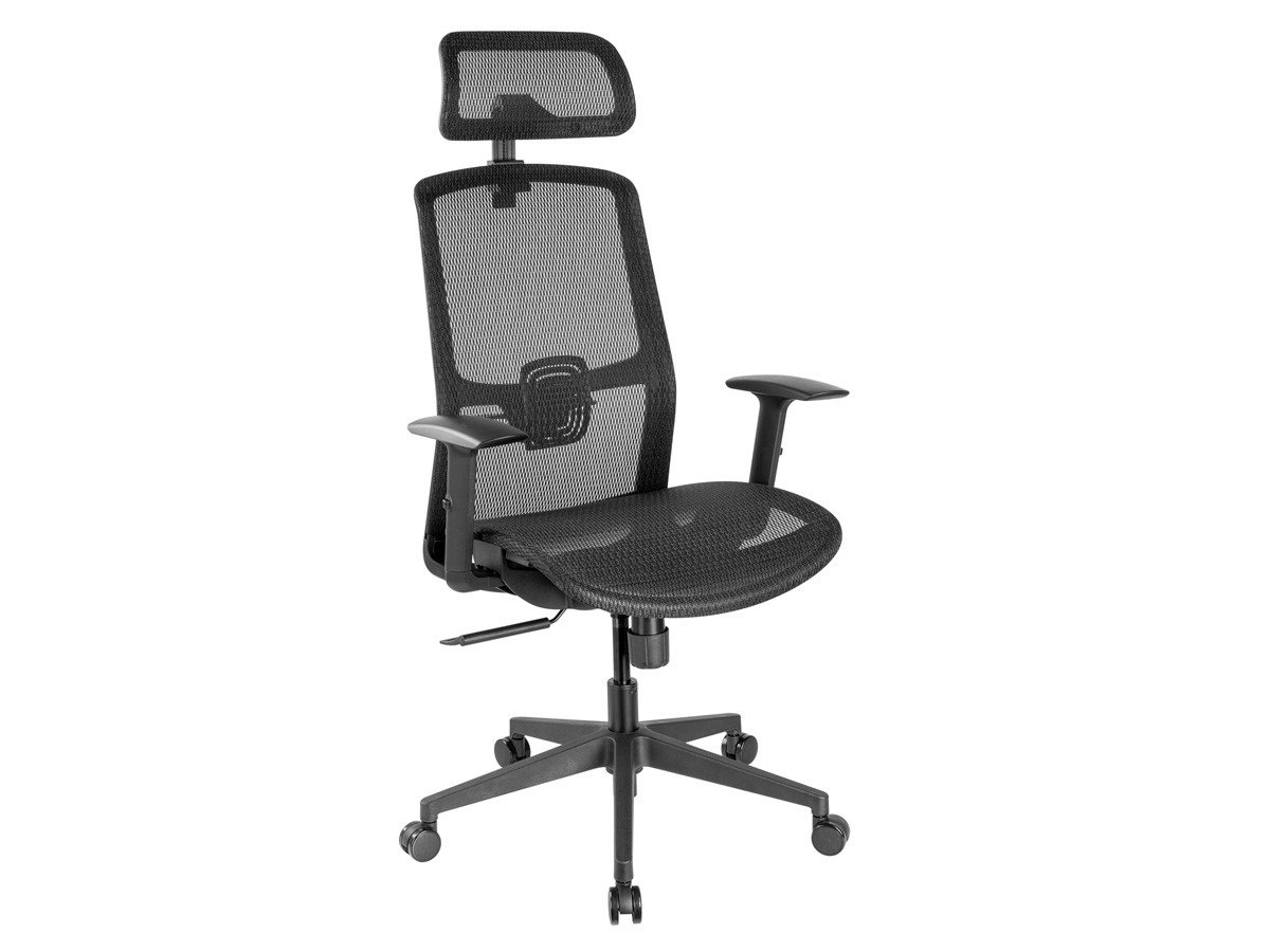 Workstream by Monoprice WFH Ergonomic Office Chair with Mesh Seat, Lumbar Support, Adjustable Armrests, Backrest, and Headrest - main image