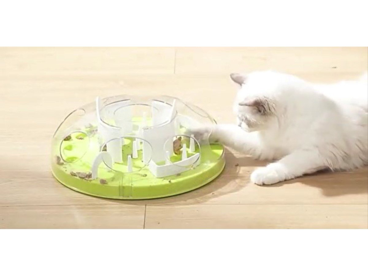 Interactive Cat Food Maze, Mental Stimulation Cat Puzzle Toy Slow Feeding  Treat