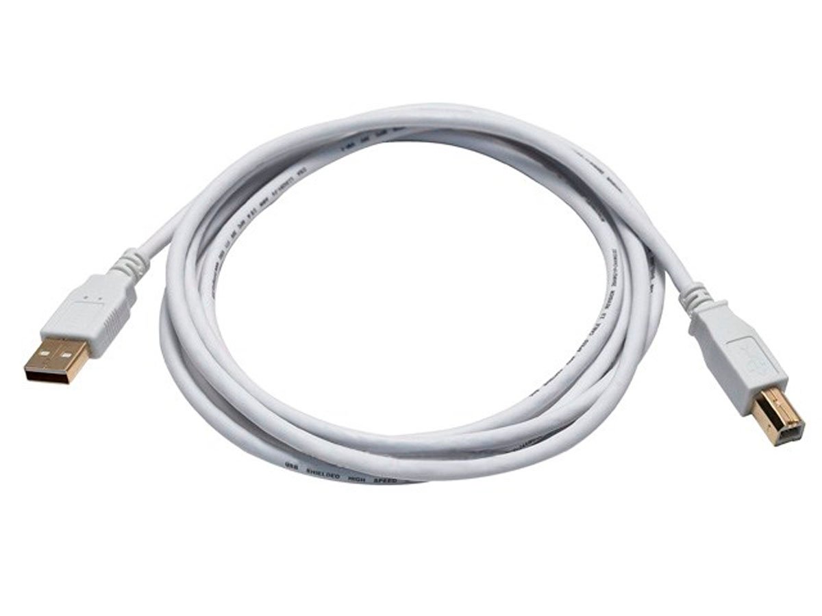 Photos - Cable (video, audio, USB) Monoprice USB-A to USB-B 2.0 Cable - 28/24AWG Gold Plated White 