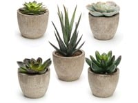 Artificial Succulent Plants Potted, Assorted Decorative Faux Succulent Potted Fake Cactus Cacti Plants with Pots, Set of 5