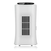 Air Purifier, H11 True HEPA Filter, Remove 99.97% Allergens Smoke Pollen Pets Hair, Desktop Air Cleaner, 3 Stage Filtration, Anion, Home, Office, Bedroom
