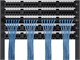 View product image Monoprice Cat7 10ft Blue Patch Cable, Double Shielded (S/FTP), 26AWG, 10G, Pure Bare Copper, Snagless RJ45, Entegrade Series Ethernet Cable - image 6 of 6