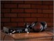 View product image Monolith by Monoprice Desktop Balanced Headphone Amplifier and DAC with THX AAA Technology (Dual AKM 4493 DACs & Dual AAA-788 Modules) - image 6 of 6