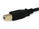 View product image Monoprice USB Type-A to USB Type-B 2.0 Cable - 28/24AWG Gold Plated Black 1.5ft, 5-Pack - image 3 of 3