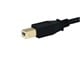 View product image Monoprice USB Type-A to USB Type-B 2.0 Cable - 28/24AWG Gold Plated Black 10ft, 3-Pack - image 3 of 3