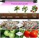 View product image Plant Grow Lights, 10W LED Growing Lamps for Indoor Plants, Full Spectrum 9 Dimmable Levels 3 Modes Timing Function, 1 Head - image 5 of 5