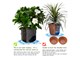 View product image 5 Gallon Plant Grow Bags 5-Pack Heavy Duty Thickened Non-Woven Aeration Planting Fabric Pot Container with 2 Strap Handles Felt Fabric for Garden and Planting, Black  - image 3 of 6