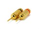 View product image Monoprice 1 PAIR OF High-Quality Gold Plated Speaker Pin Plugs, Closed Screw Type - image 1 of 3