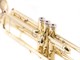 View product image Stage Right Sonata by Monoprice Brass Bb Trumpet Outfit with Valve Oil, Music Stand, Trumpet Stand, and Case - image 6 of 6