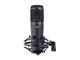 View product image Stage Right by Monoprice LC100 Large-diaphragm Cardioid Studio Condenser Microphone w/ Shock Mount - image 5 of 6