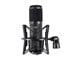 View product image Stage Right by Monoprice LC200 Large 34mm Diaphragm Multi-Pattern Studio Condenser Microphone with Pad/Filter and Shock Mount - image 5 of 6