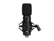 View product image Stage Right by Monoprice LR100 Ribbon Microphone with Shock Mount - image 5 of 6