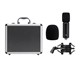 View product image Stage Right by Monoprice LR100 Ribbon Microphone with Shock Mount - image 6 of 6