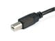 View product image Monoprice USB-A to USB-B 2.0 Cable - Active, 28/24AWG, Black, 33ft - image 2 of 4